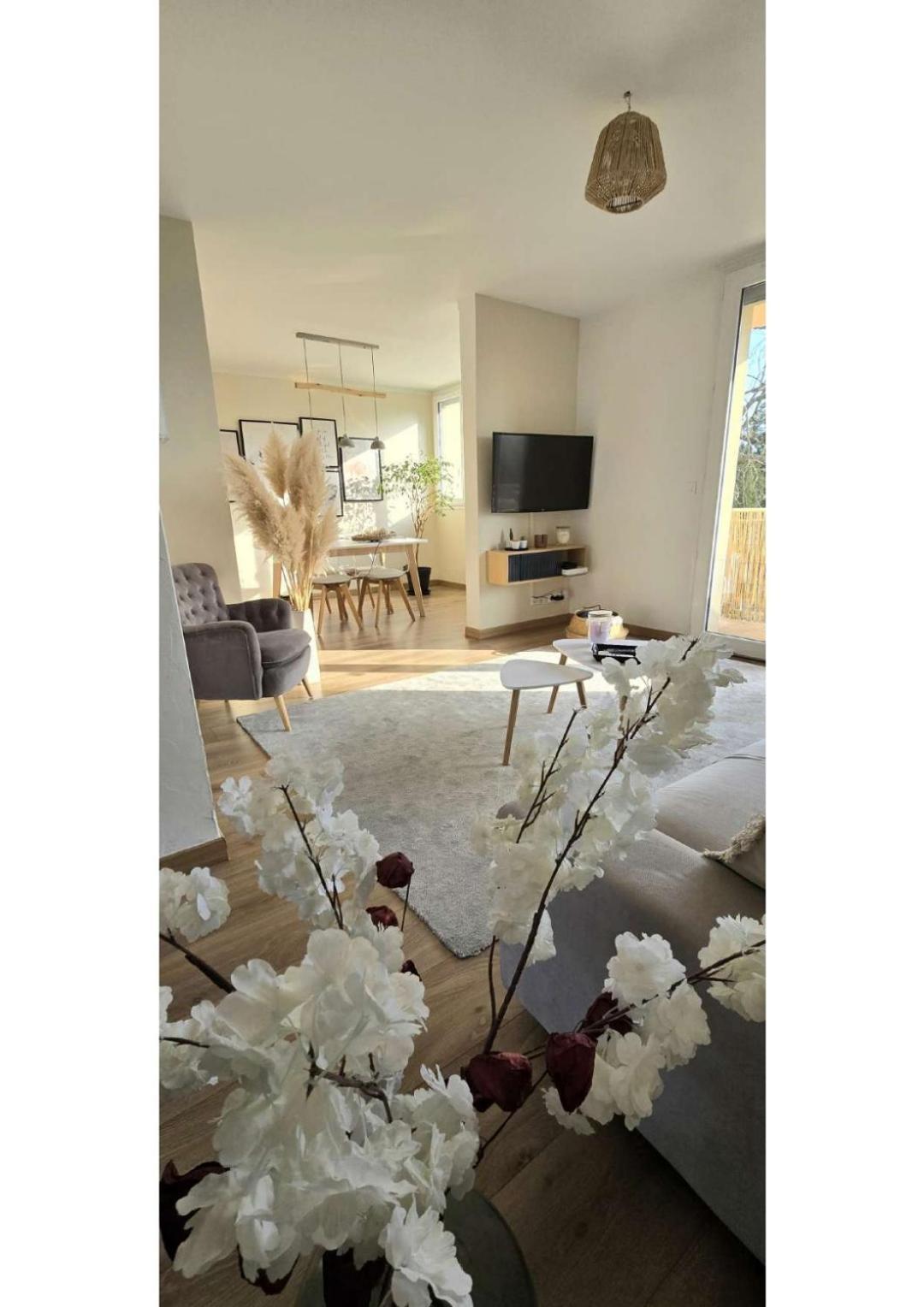 Apartmán Superbe T3 Cosy, Parking Gratuit + Balcon Riom Exteriér fotografie