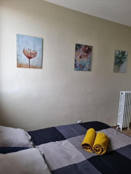 Apartmán Superbe T3 Cosy, Parking Gratuit + Balcon Riom Exteriér fotografie